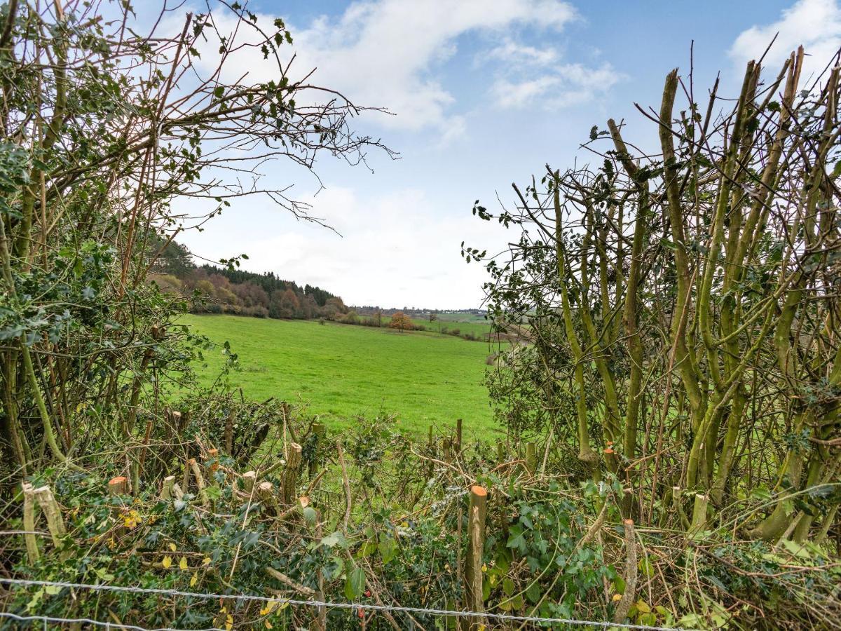 Hoarthorns Hideaway - Uk41687 Villa Coleford  Bagian luar foto